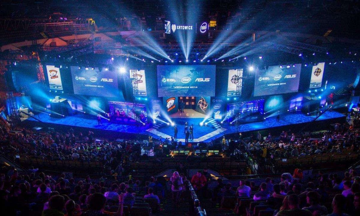 述因素的基 述因素的基