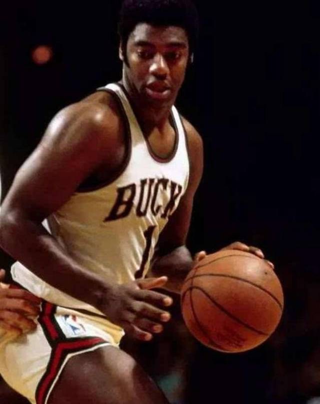 的野生动物 的野生动物